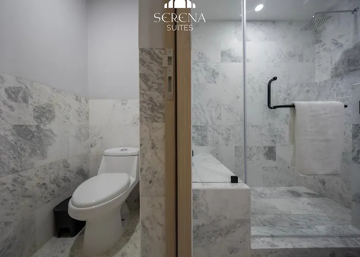 Apartment Elegant With Ac And Skydeck Pool In Condesa *